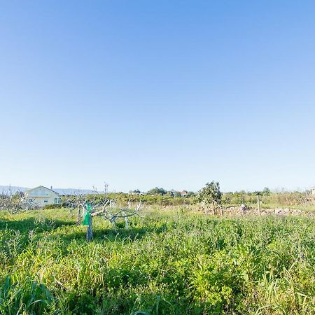 Akivillas Silves Relax Dış mekan fotoğraf