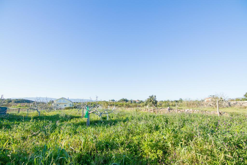 Akivillas Silves Relax Dış mekan fotoğraf